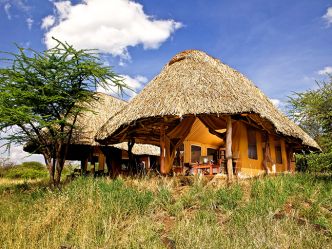 Lewa Safari Camp - Familien-Zelt Lewa Safari Camp - Familien-Zelt