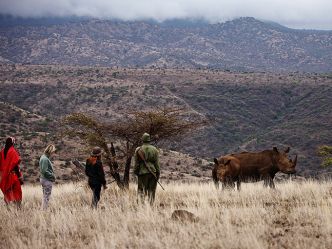 Lewa Safari Camp - Bush Walk Lewa Safari Camp - Bush Walk