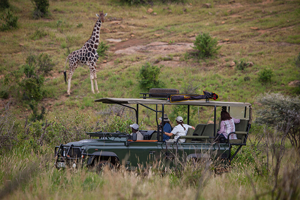 Loisaba - Game Drive