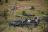 Loisaba - Game Drive