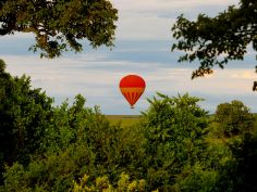 Mara Leisure Camp - Ballonfahrt