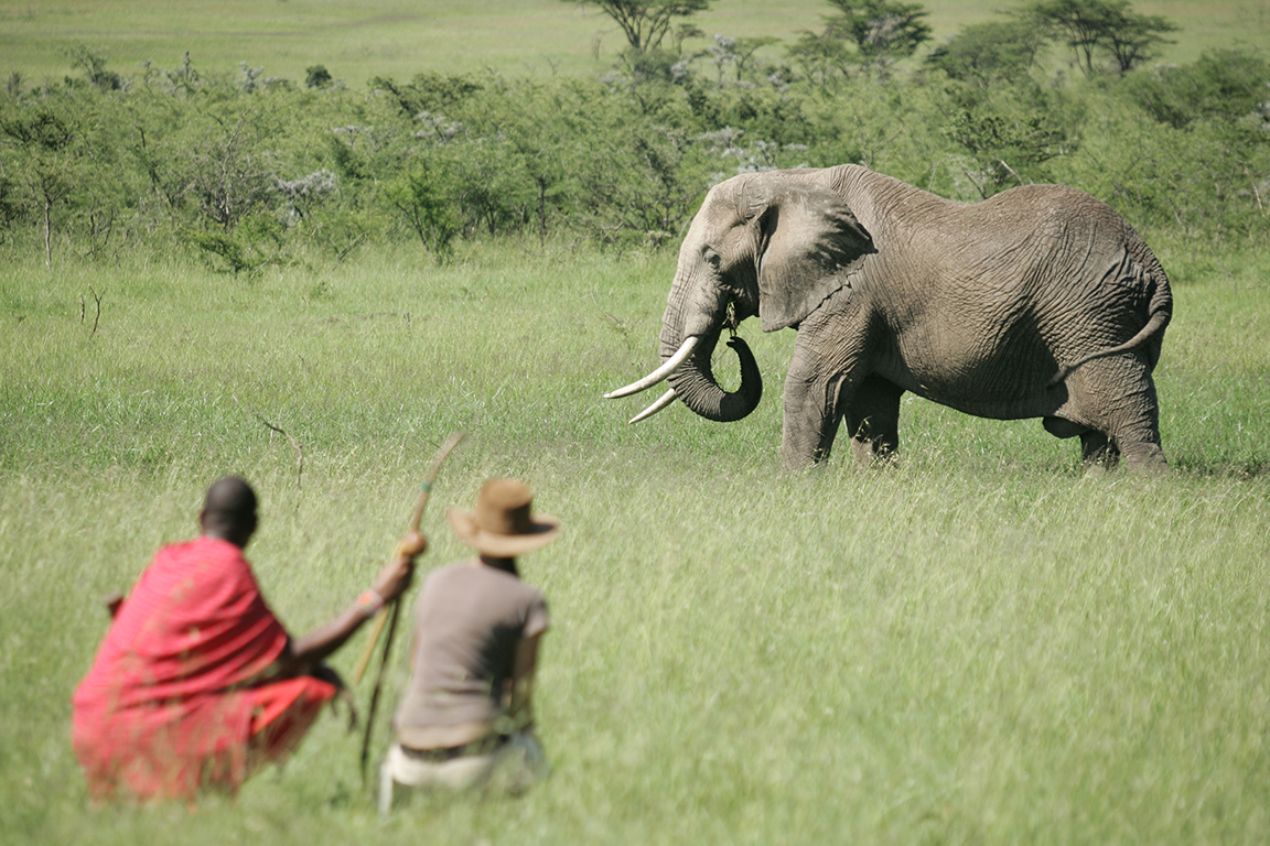 Naboisho Camp - Bush Walk mit Masai
