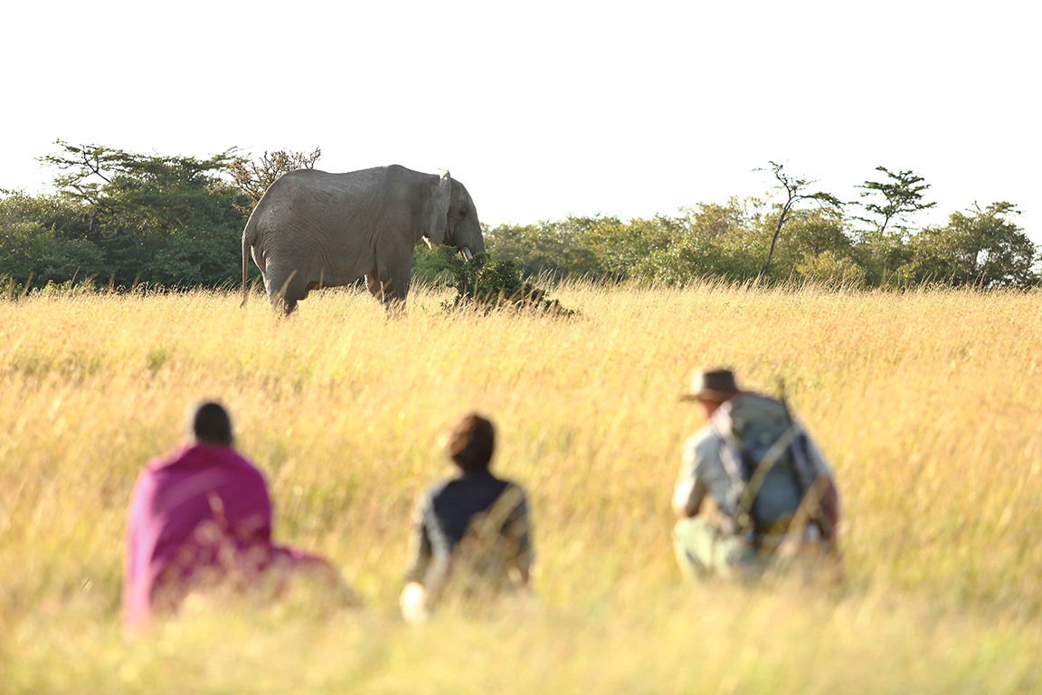 Naboisho Camp - Bush Walk mit Masai