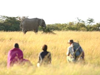 Naboisho Camp - Bush Walk mit Masai Naboisho Camp - Bush Walk mit Masai
