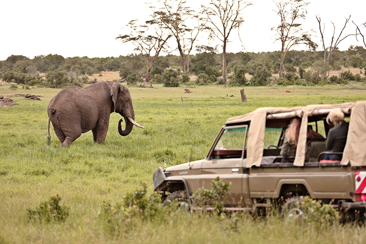 Ol Pejeta Bush Camp