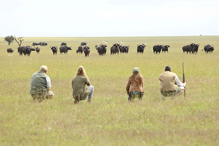 Ol Pejeta Bush Camp - Bush Walk
