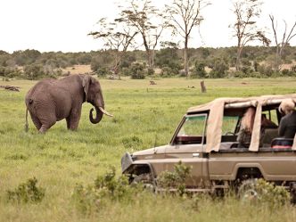 Ol Pejeta Bush Camp Ol Pejeta Bush Camp