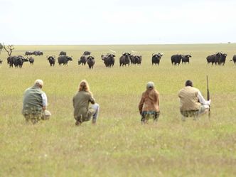 Ol Pejeta Bush Camp - Bush Walk Ol Pejeta Bush Camp - Bush Walk