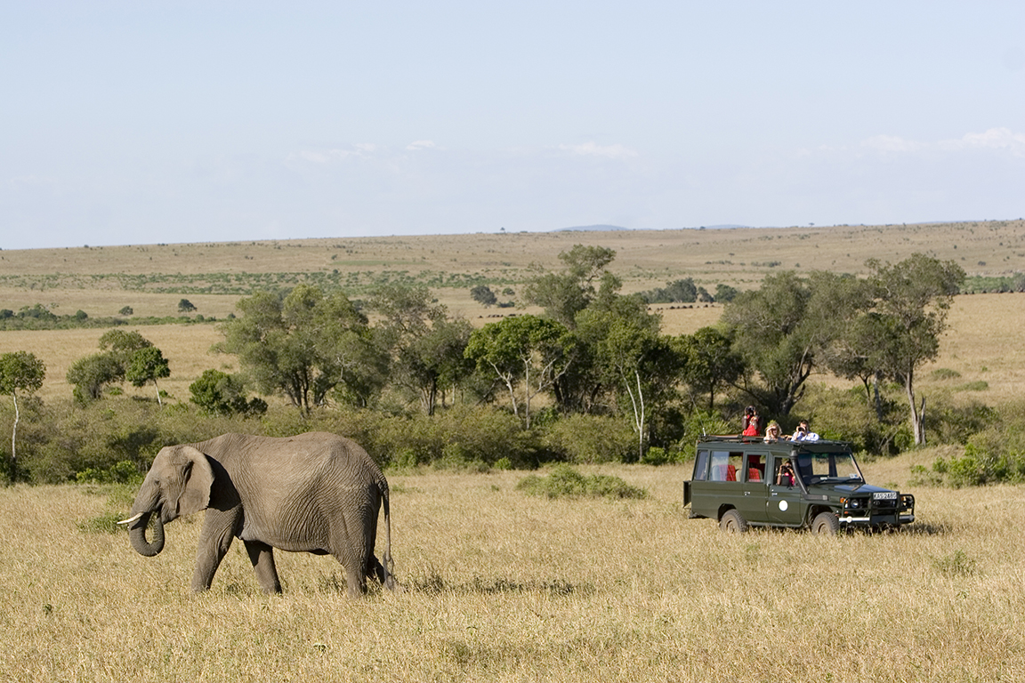 Rekero Camp - Game Drive