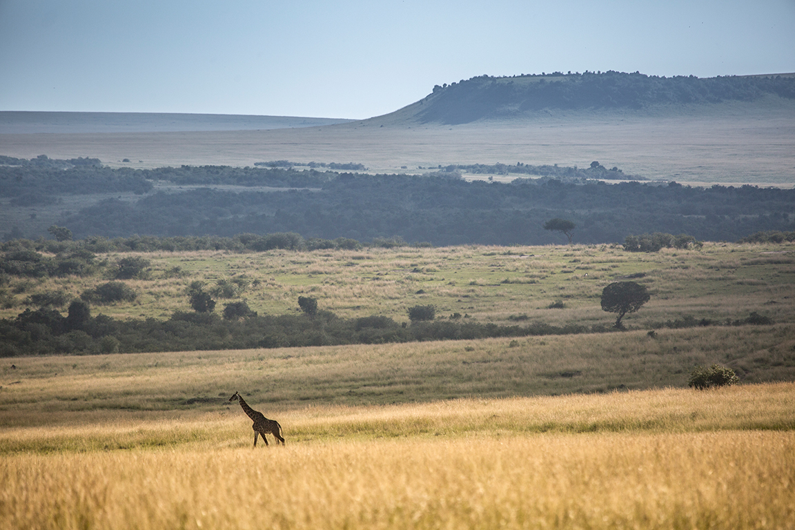 Rekero Camp - Masai Mara Aussicht