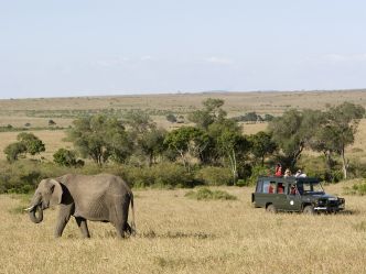 Rekero Camp - Game Drive Rekero Camp - Game Drive