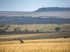 Rekero Camp - Masai Mara Aussicht