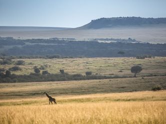 Rekero Camp - Masai Mara Aussicht Rekero Camp - Masai Mara Aussicht