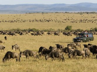 Rekero Camp - Game Drive während der Migration Rekero Camp - Game Drive während der Migration