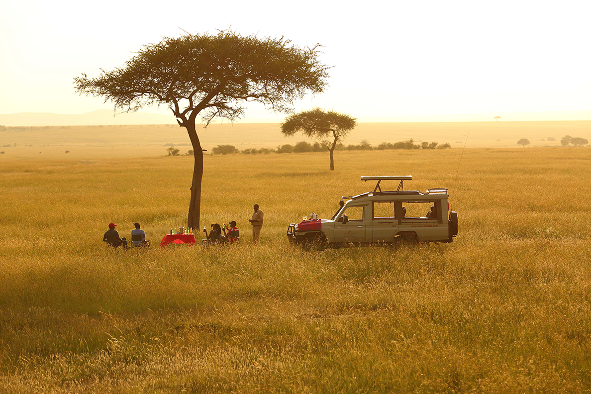 Sarova Mara Game Camp