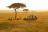 Sarova Mara Game Camp