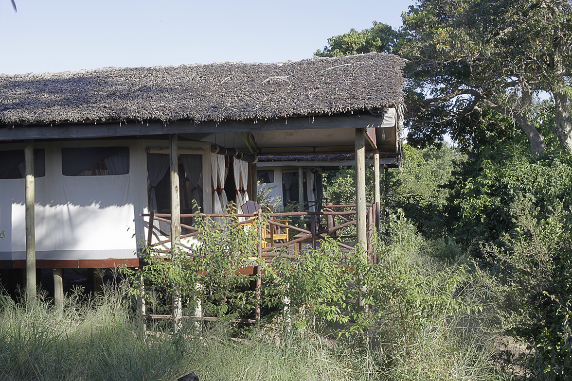 Tipilikwani Mara Camp - Zelt-Zimmer