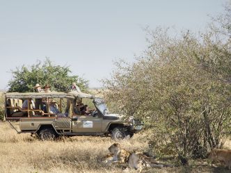 Tipilikwani Mara Camp - Pirschfahrt Tipilikwani Mara Camp - Pirschfahrt