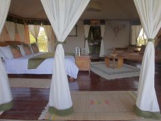 Tipilikwani Mara Camp - Zelt-Zimmer
