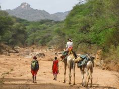 Tumaren Camp - Ausflug mit Kamelen