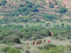 Tumaren Camp - Ausflug mit Kamelen
