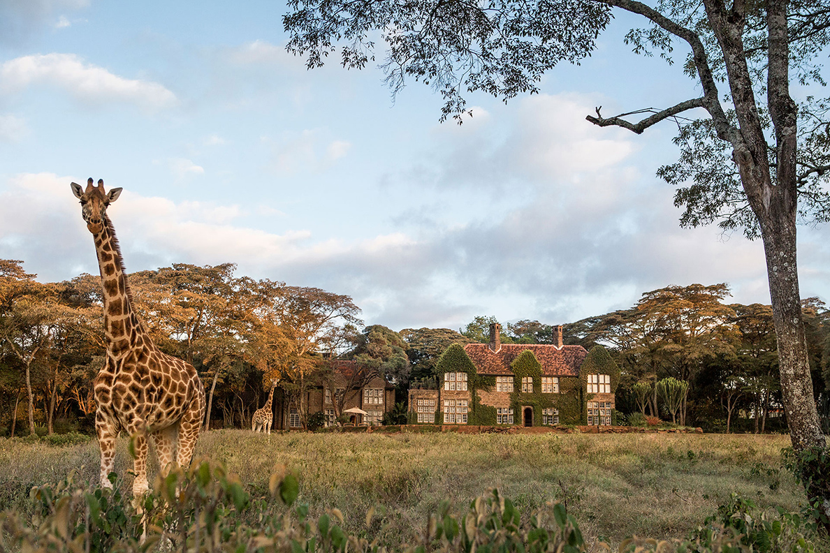 The Giraffe Manor, Nairobi