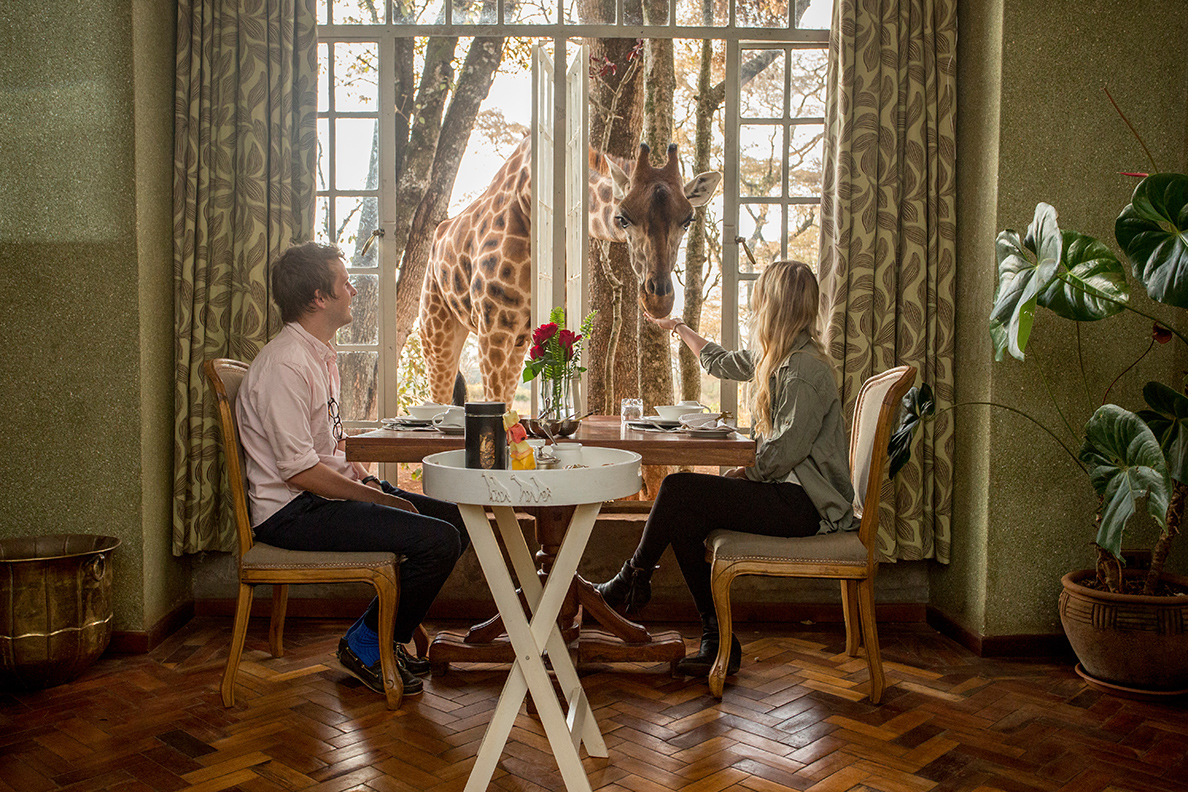 The Giraffe Manor, Nairobi