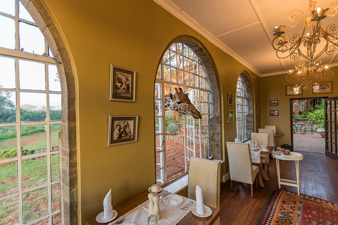 The Giraffe Manor, Nairobi