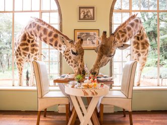 The Giraffe Manor, Nairobi The Giraffe Manor, Nairobi