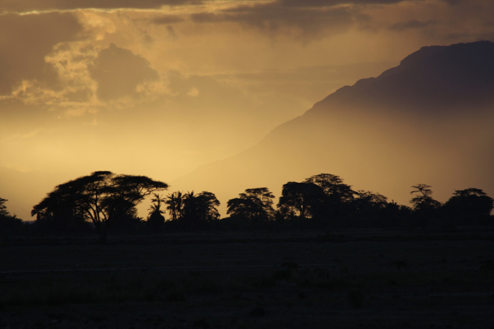 Amboseli National Park, Abendstimmung