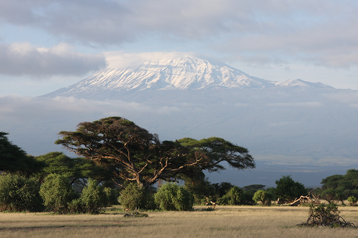 Amboseli National Park, Sicht auf den Mount Kilimanjaro