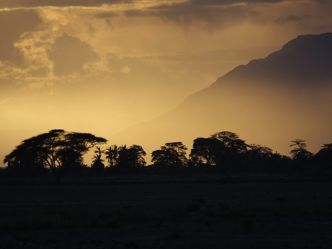 Amboseli National Park, Abendstimmung Amboseli National Park, Abendstimmung