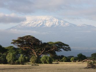 Amboseli National Park, Sicht auf den Mount Kilimanjaro Amboseli National Park, Sicht auf den Mount Kilimanjaro