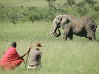 Mara Naboisho Conservancy - Bush Walk (Naboisho Camp) Mara Naboisho Conservancy - Bush Walk (Naboisho Camp)