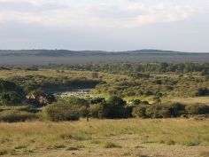 Masai Mara Game Reserve