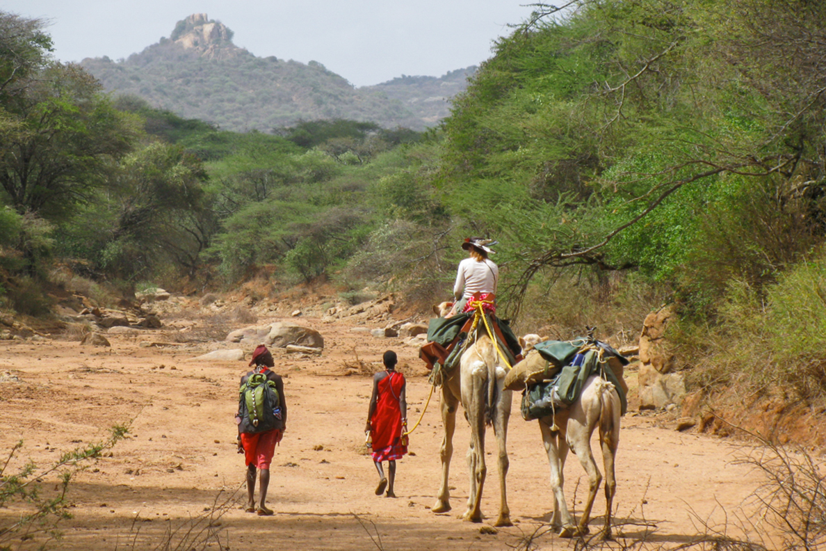 Kamel-Safari Laikipia