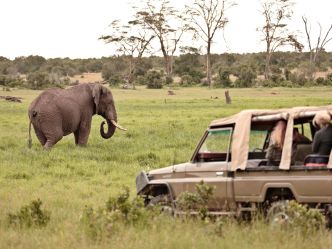 Laikipia - Tierbeobachtung in der Ol Pejeta Conservancy Laikipia - Tierbeobachtung in der Ol Pejeta Conservancy