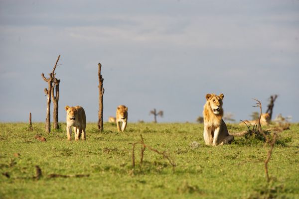 Laikipia Plateau