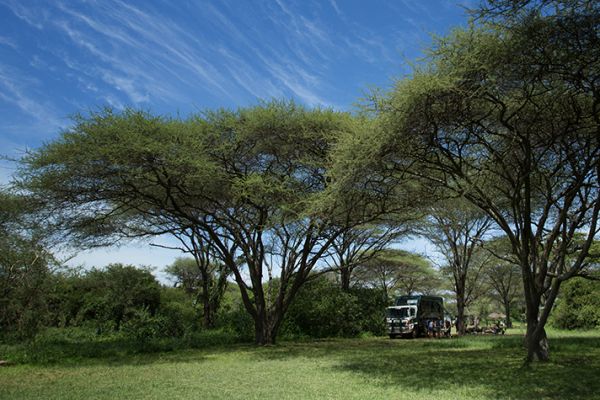 East Africa Adventure