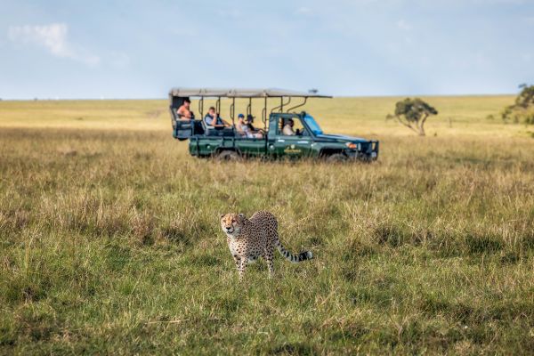 Flugsafari Mara in Style - Comfort