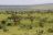 Great Kenya Safari - Landschaft im Tsavo National Park