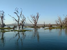 Kenya Camping Experience - Lake Naivasha