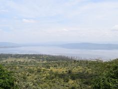 Kenya Camping Experience - Lake Nakuru