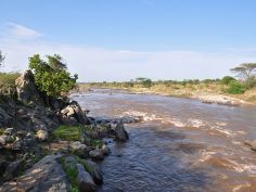 Kenya Camping Experience - Mara River