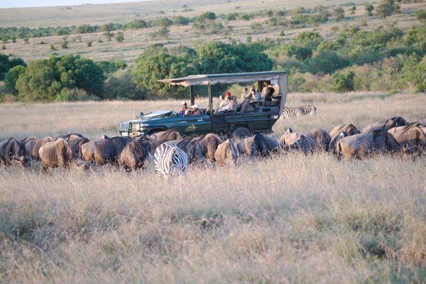 Magische Masai Mara