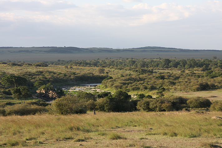 Masai Mara Lodge Safari