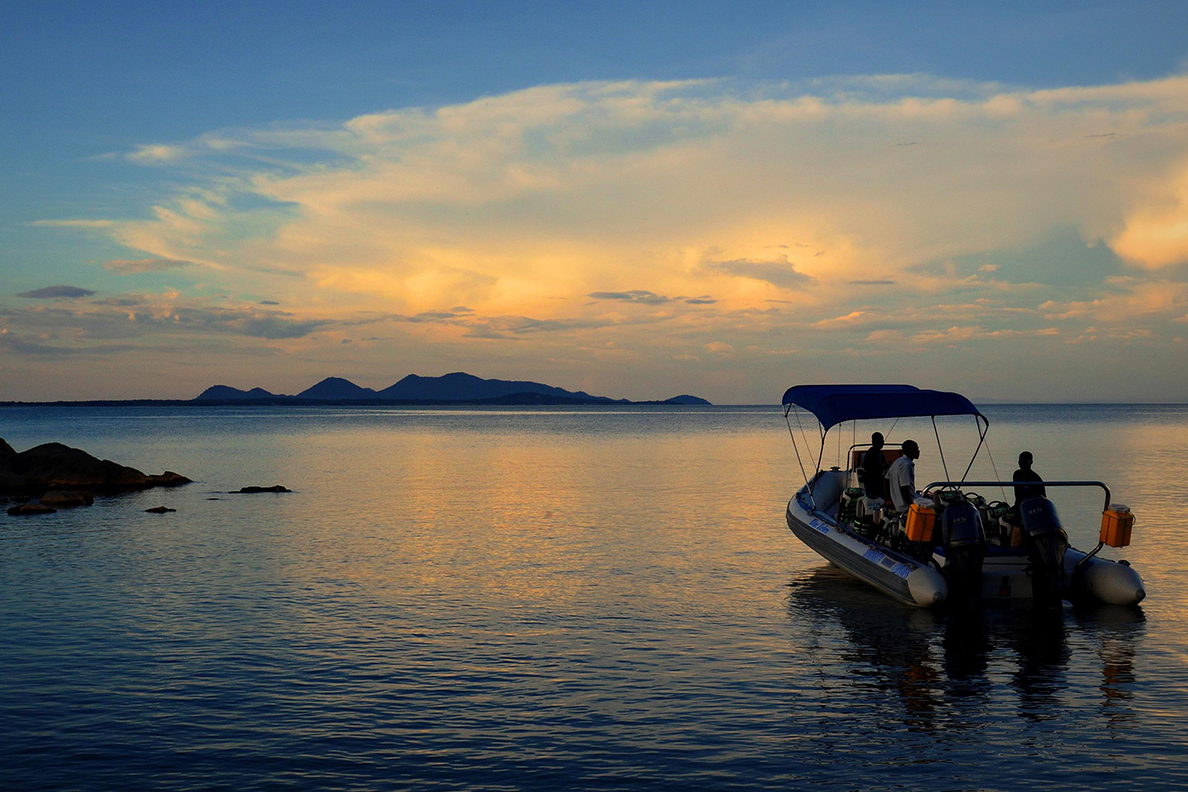 Blue Zebra Island Lodge