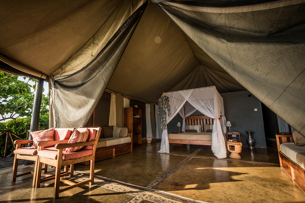 Blue Zebra Island Lodge - Executive Chalet