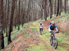 Luwawa Forest Lodge - Biken