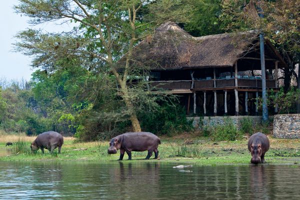 Mvuu Lodge